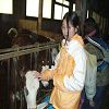 Onnion 2006 57